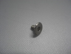 TEL 2110-442779-11 SCREW, QUARTZ HOLD, INCONEL600 (新品)