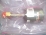 TYLAN General P/N：CDLD-11S06 バ...